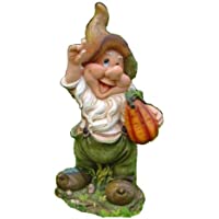 Unbekannt Diseño Enano con Erizo 37 cm de Alto Decoración Jardín Enano de jardín Figuras Decoración 7 Varios diseño